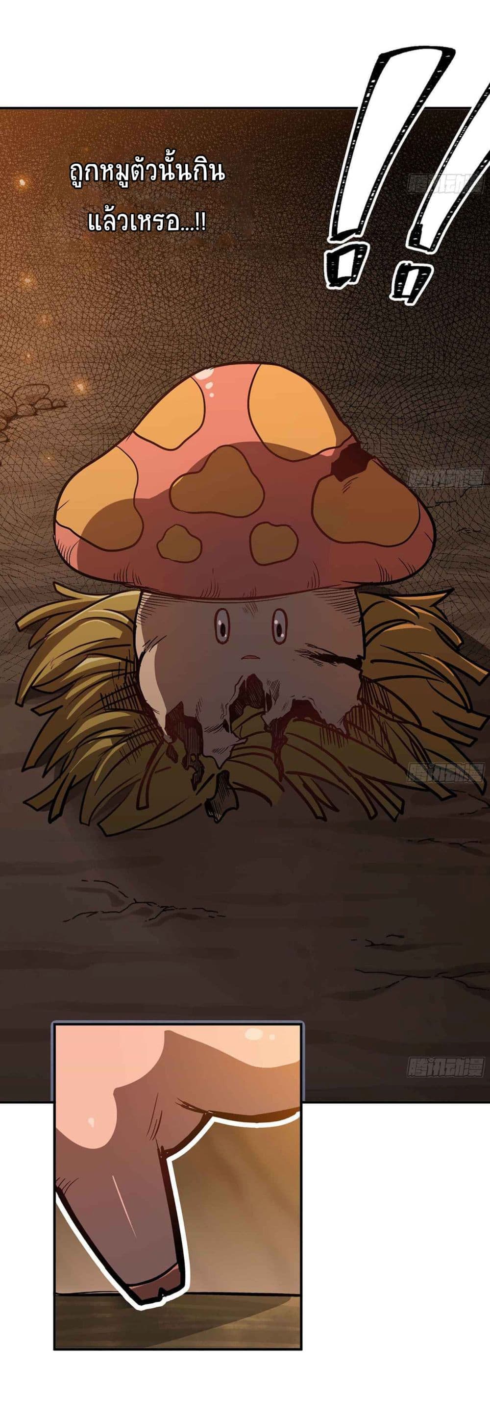 Mushroom Brave9 (13)