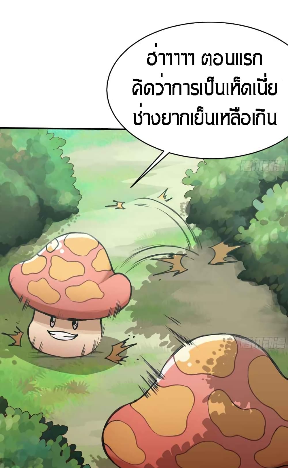 Mushroom Brave4 (18)