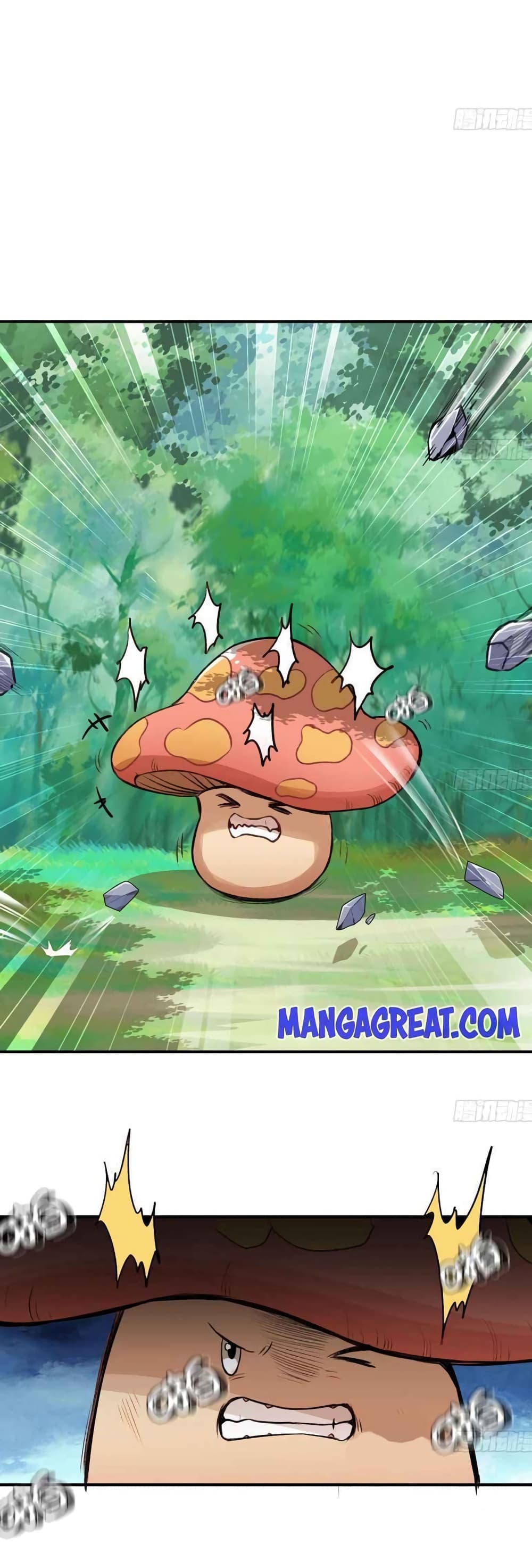 Mushroom Brave5 (9)