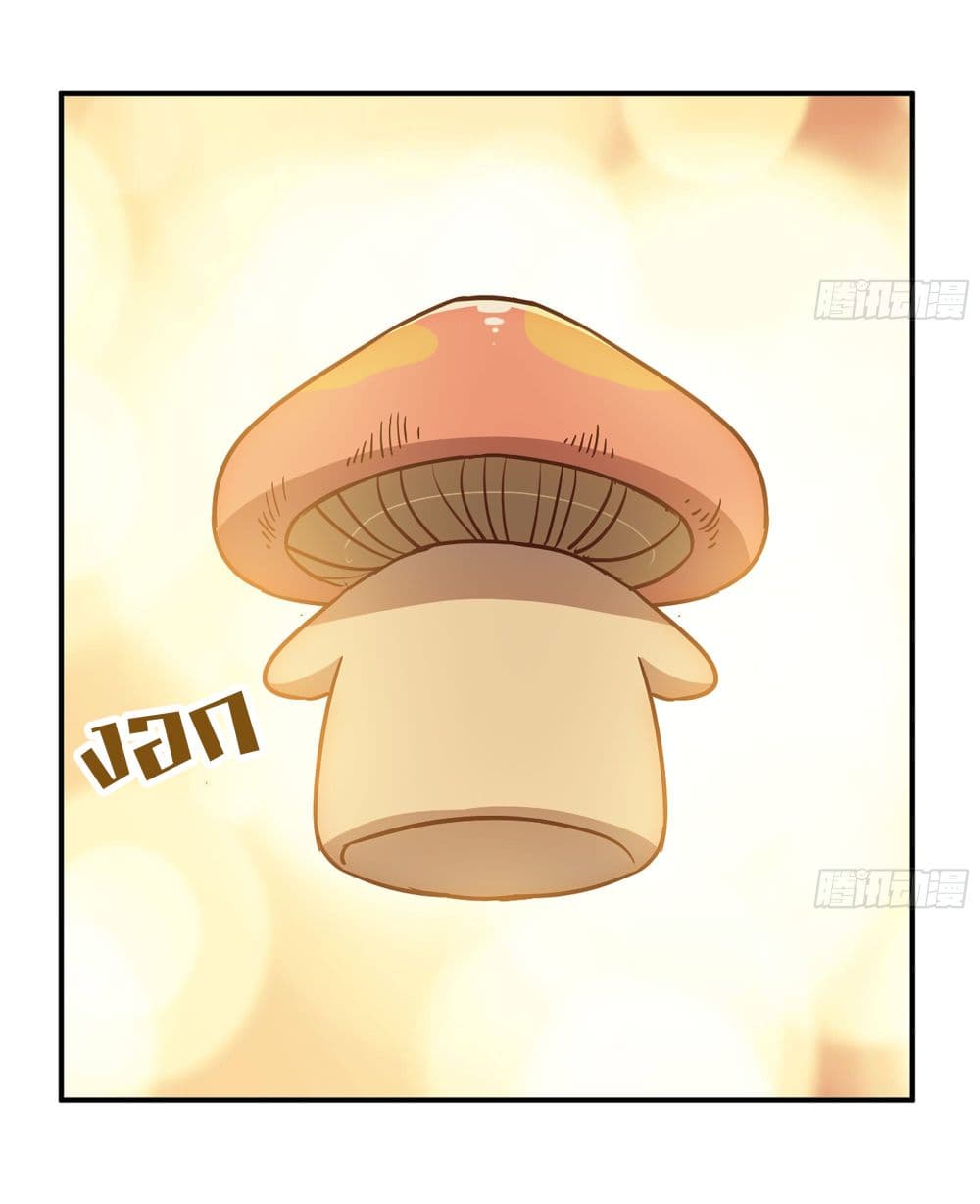 Mushroom Brave10 (30)