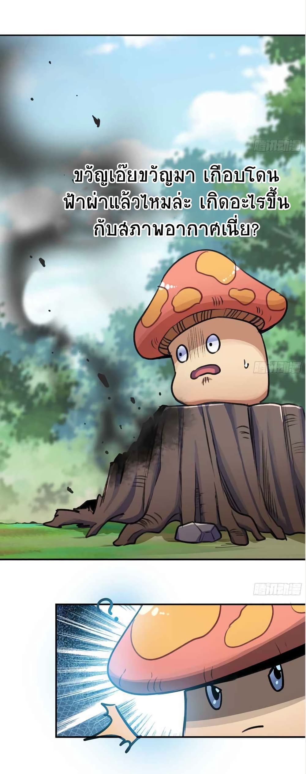 Mushroom Brave5 (31)